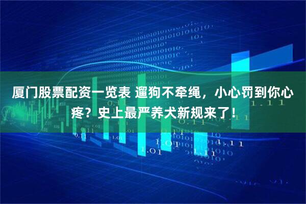 厦门股票配资一览表 遛狗不牵绳，小心罚到你心疼？史上最严养犬新规来了！