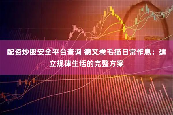 配资炒股安全平台查询 德文卷毛猫日常作息：建立规律生活的完整方案